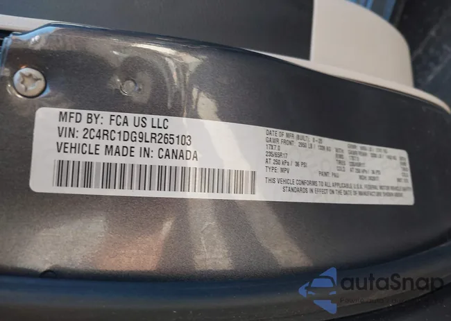 2C4RC1DG9LR265103: 43482795