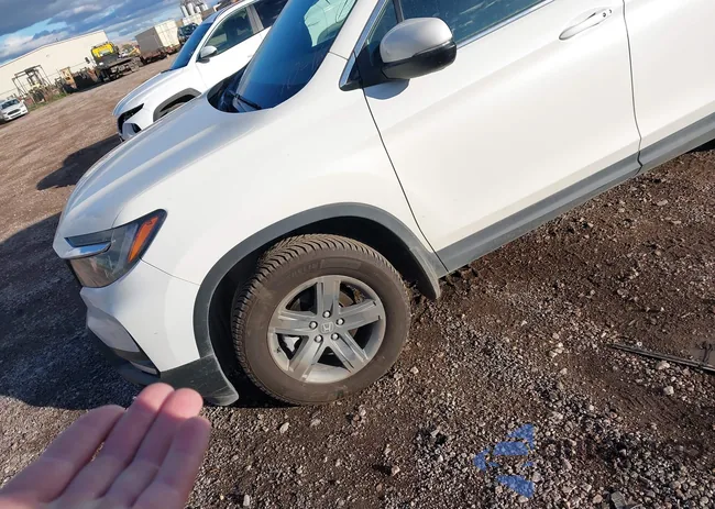 5FPYK3F50NB025921: 43483259