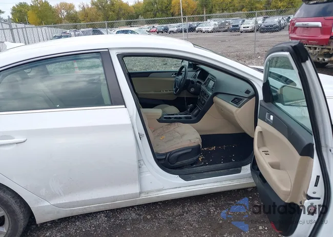 5NPE24AF5HH454902: 43484501