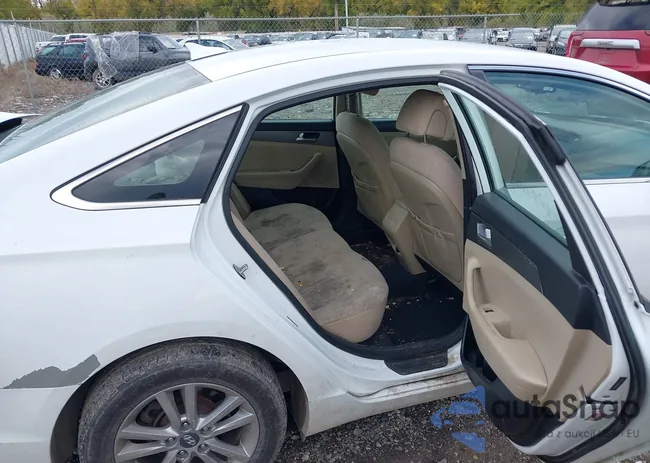 5NPE24AF5HH454902: 43484501