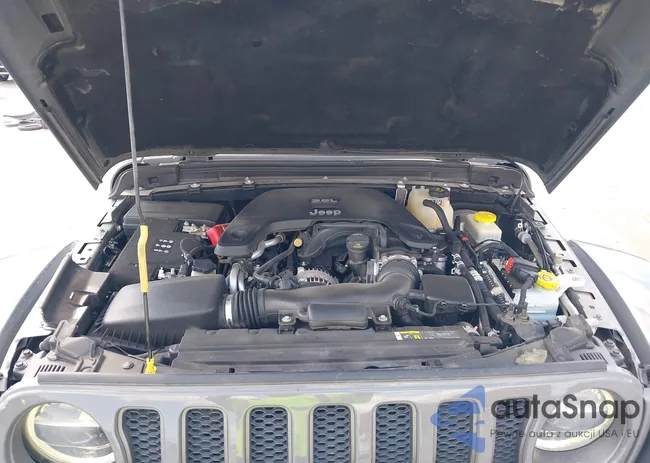 1C4HJXFG4JW266102: 43484665