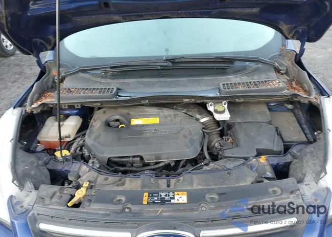 1FMCU9GX1GUB61190: 43484860