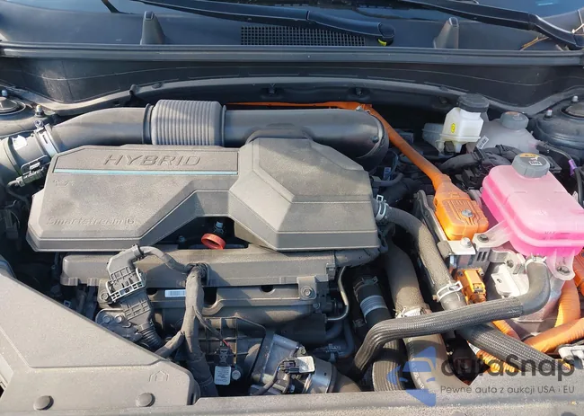 KNDPVCAG0P7106866: 43486054