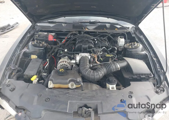 1ZVBP8AN8A5146791: 43486659