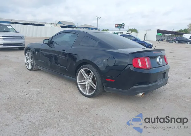 1ZVBP8AN8A5146791: 43486659