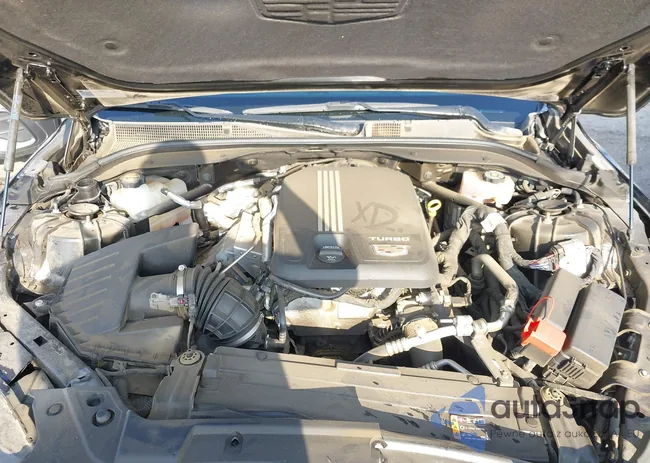 1G6DM5RKXR0115597: 43486662