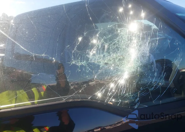 1FTEW1E53KFC29139: 43486879