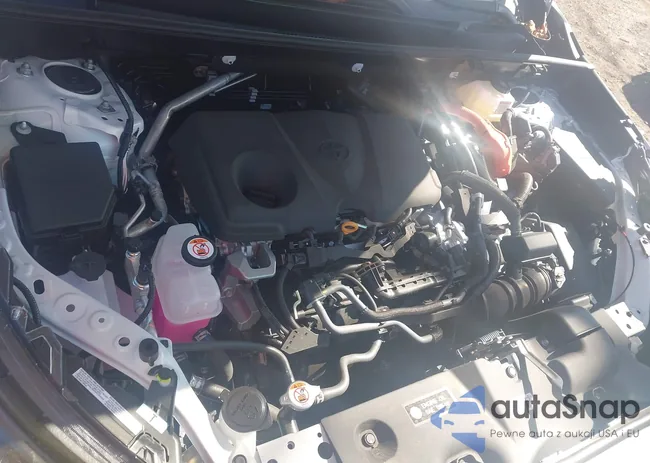 4T3RWRFV0SU197943: 43486433