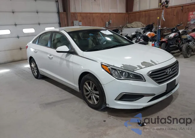 5NPE24AF3GH434985: 43488156