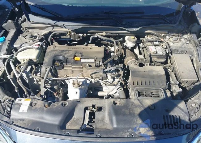 19XFC2F81JE002486: 43488207