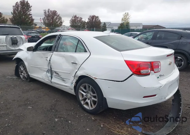 1G11C5SL3FF310318: 43488400