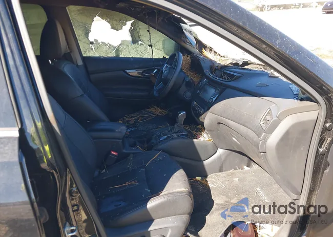 5N1AT2MV9LC770709: 43489476