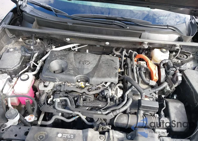 JTMRWRFV8RD217007: 43489669