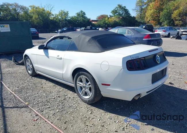 1ZVBP8EM0D5203877: 43489235