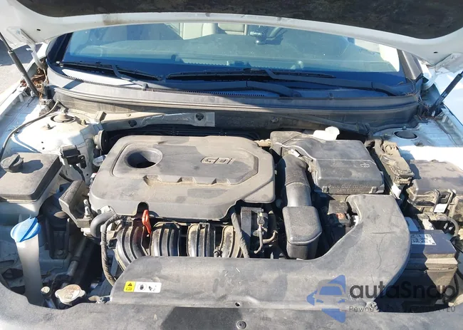 5NPE24AF9FH246096: 43490812