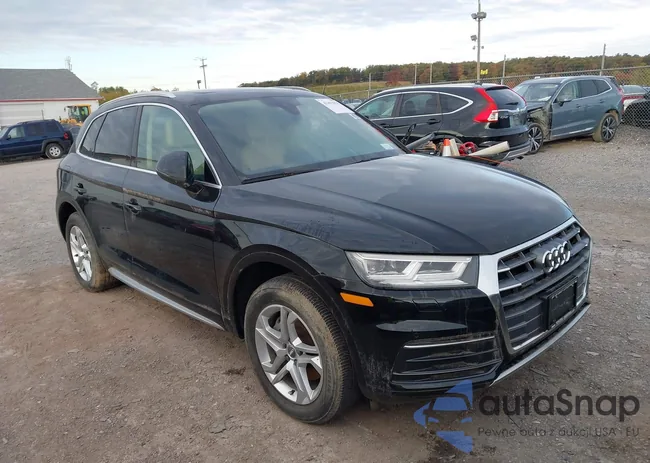 WA1BNAFY8J2202548: 43491019