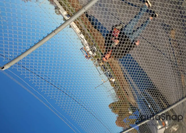 JF2SJAEC9HH485462: 43490049