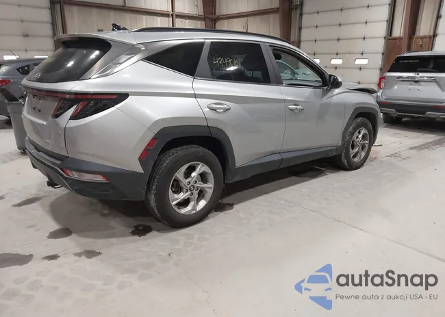 5NMJBCAEXNH116226: 43490101