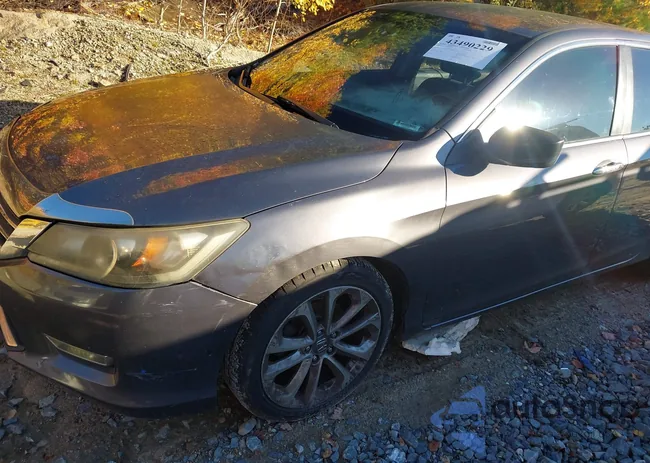 1HGCR2F55DA087932: 43490229