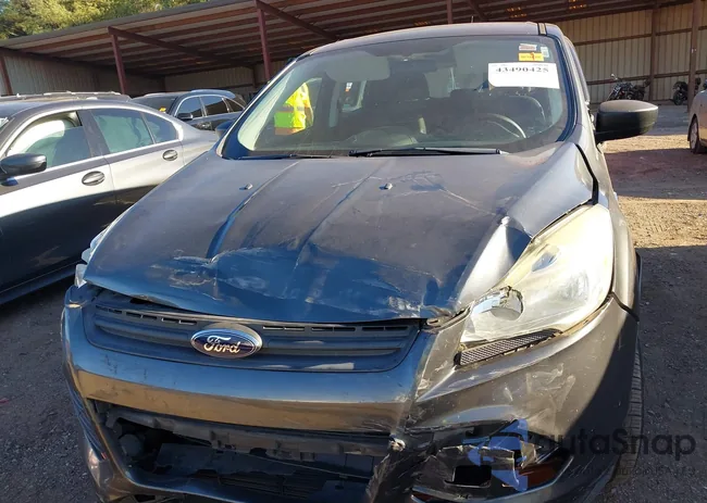 1FMCU0F79GUC19012: 43490425