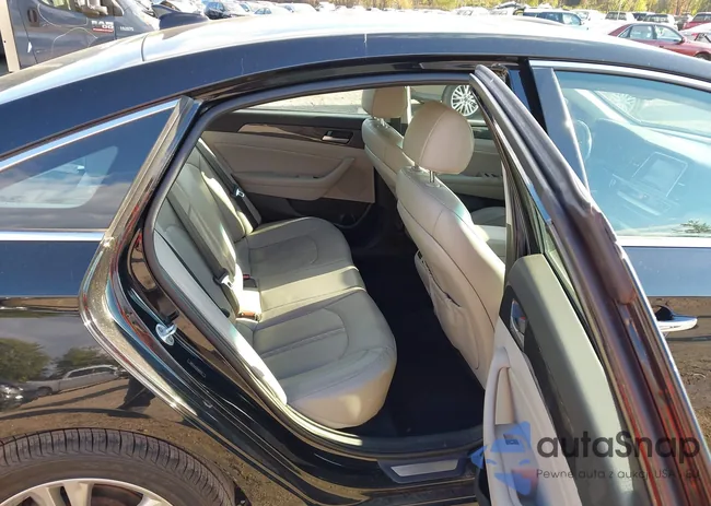 5NPE34AF3KH807979: 43491583