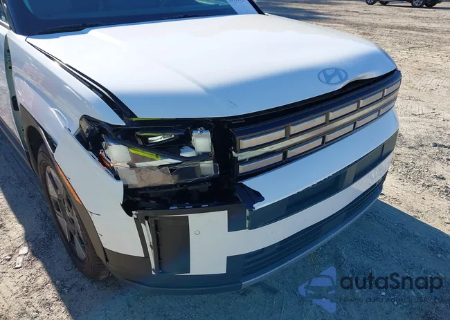 5NMP24G13RH007410: 43491727