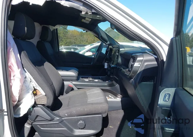 1FTEW2LP2RKE67043: 43491918