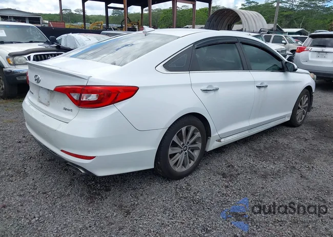 5NPE34AFXHH536184: 43491948