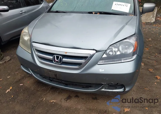 5FNRL38726B106994: 43491171