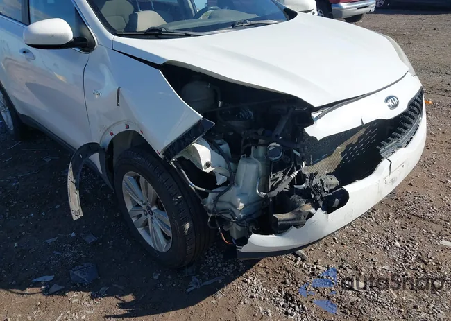 KNDPMCAC9H7039959: 43491435