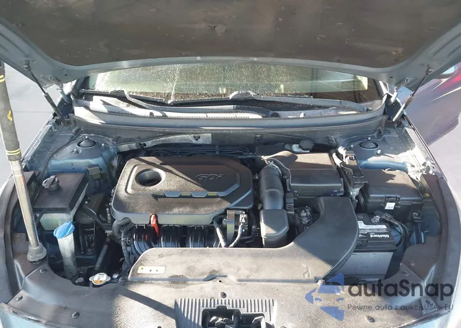 5NPE24AF0HH554485: 43492559