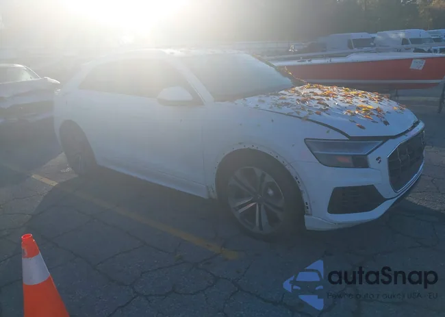 WA1CVAF12KD006831: 43493021