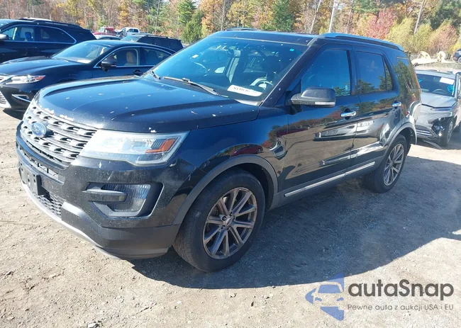 1FM5K8F84GGB66658: 43493038