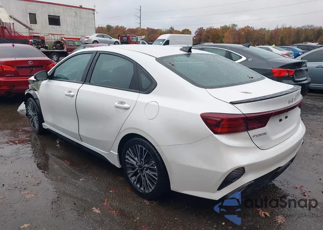 3KPF54AD9PE634090: 43492317