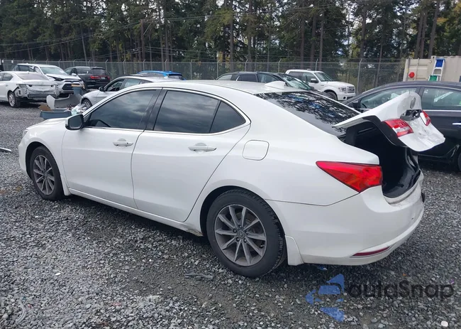 19UUB1F33JA006262: 43493540