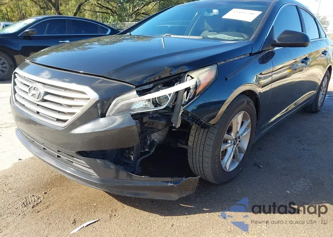 5NPE24AF4GH337651: 43493706