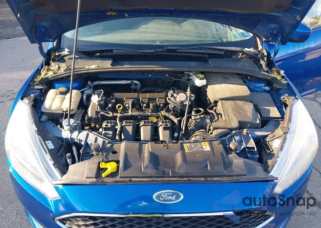 1FADP3K23JL307195: 43494017