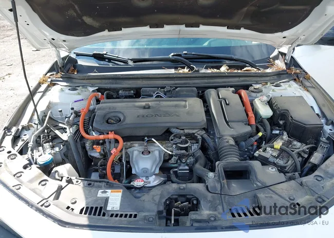 1HGCY2F56PA058429: 43494909