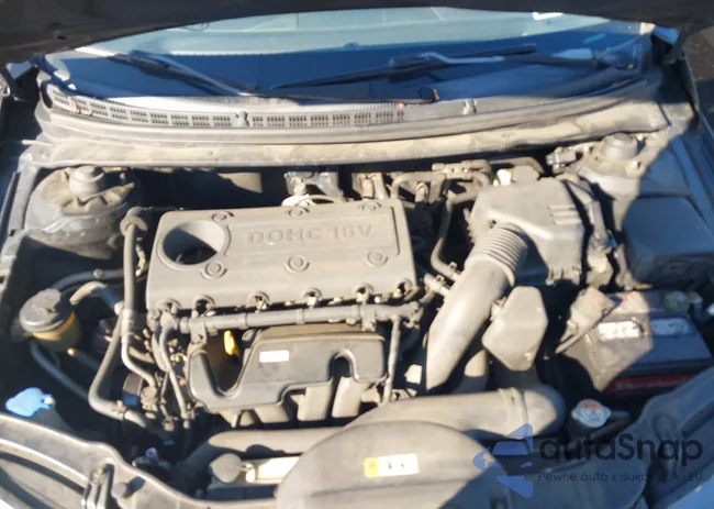 KNAFU4A2XD5713239: 43494262