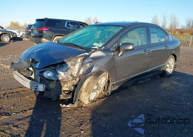 2HGFA1F89BH501088: 43494423