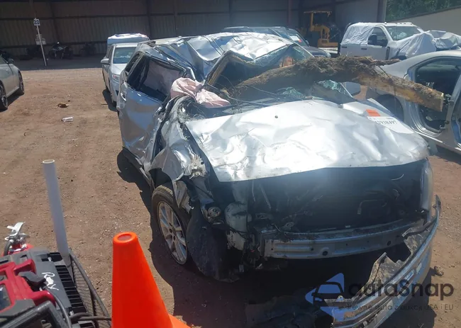 2FMDK38C49BA99022: 43495450