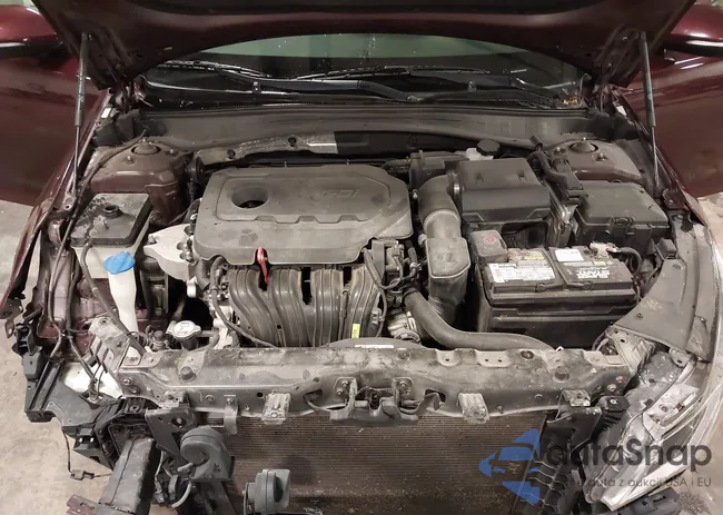 5XXGU4L3XHG152538: 43495496