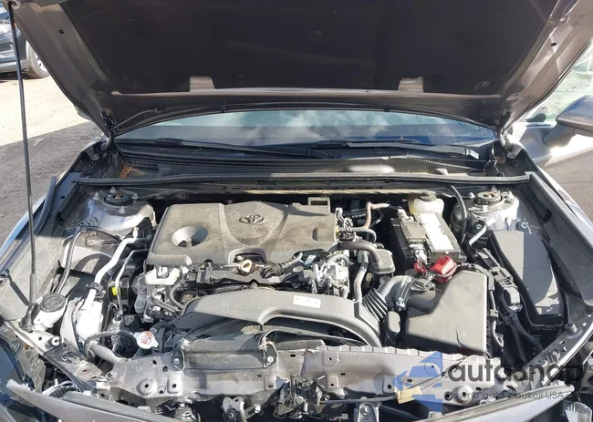 4T1C11BK6RU109384: 43495113