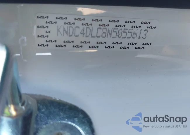 KNDC4DLC8N5055613: 43496606