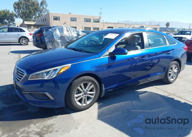 5NPE24AF4GH395517: 43496754