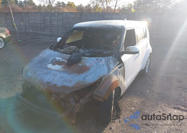 KNDJP3A59K7918061: 43496902