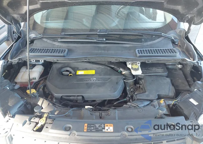 1FMCU0GX4FUB68919: 43496197