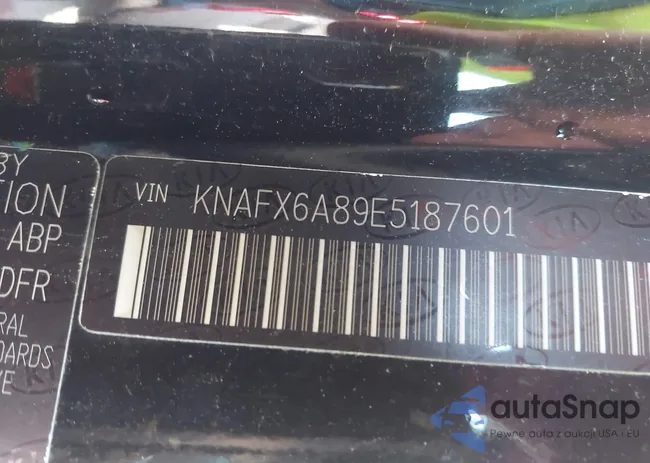KNAFX6A89E5187601: 43496387