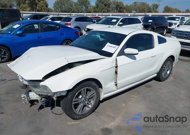 1ZVBP8AM5D5204108: 43496403