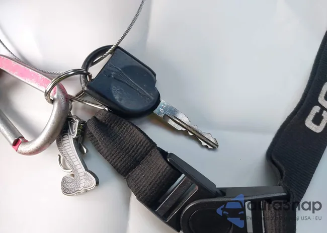 1ZVHT82H195142785: 43497736